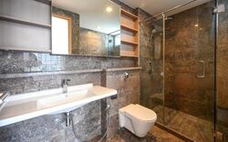 Suites @ Cairnhill (D9), Apartment #462564411